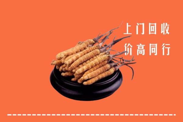 高价求购：渭南市合阳县回收散虫草