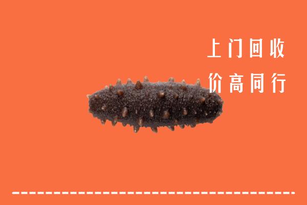 高价求购：渭南市合阳县回收海参
