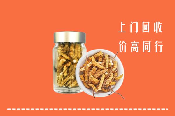 渭南市合阳县回收冬虫夏草